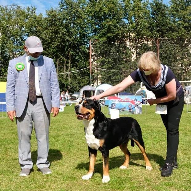 Международная выставка собак г. Смоленск